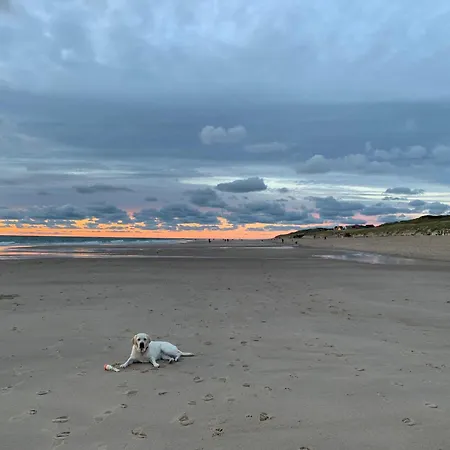 Haus-reichensperger-direkt-am-strand Wenningstedt-Braderup